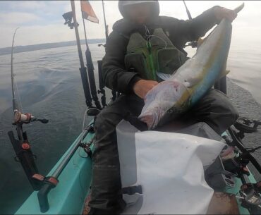 Solo Skiff Fishing Adventures San Diego Fall 2020 Yellowtail/Rockfish/Calico Bass/Bonito - Fall 2020