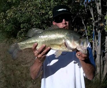 SHORE FISHING IN FALL TROPHY BASS IN YOUR BACKYARD