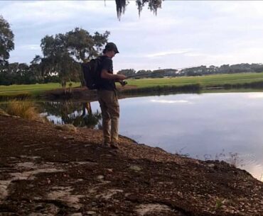 Awesome Cast to Catch Tailing Sheepshead Fishing