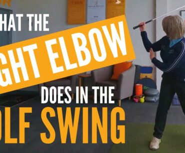 What the RIGHT ELBOW does in the golf swing