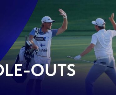 Every Hole-Out This Season | Best of 2020