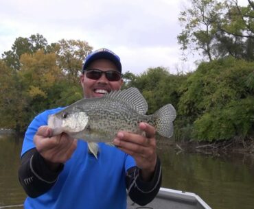 Fall Crappie and Smallmouth bass Jerkbait Tactics that work (TV)