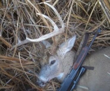 Big buck cattail hideaways...