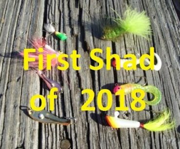 FIRST SHAD OF 2018 !!   - North Carolina Shad Fishing