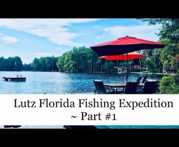 Lutz Florida Fishing Expedition ~ Part 1