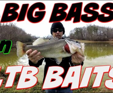 BIG BASS w/ LTB Baits Winter Pond Fishing