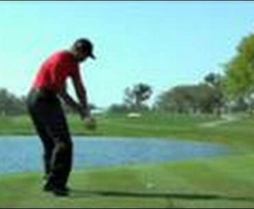 Tiger Woods Golf Swing 2010 Players Championship - SwingVision Vs. Ben Hogan @ TPC Sawgrass