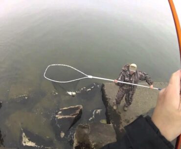 Great lakes brown trout caught on baitcaster