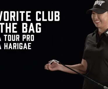 Mina Harigae's Favorite Club in the Bag