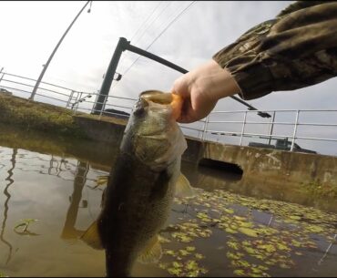 prespawn bass fishing