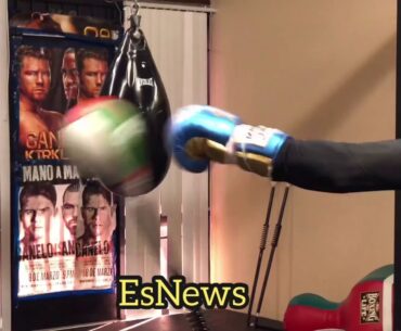 Canelo Amazing Reflexes Working Cobra Bag With Eddy Reynoso - EsNews