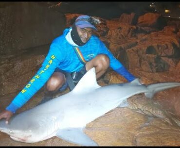 Margate pier Fishing, Bull Shark landed by Michael G (Mike larrry)