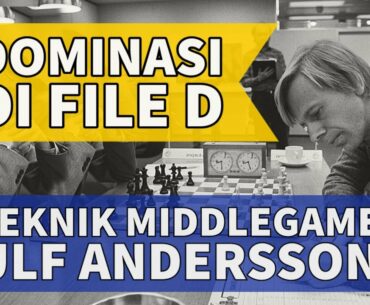 Teknik Middlegame Ulf Andersson