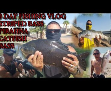 FISHING FOR MULTI SPECIES IN ARIZONA CAUGHT A PIRANHA AN OTHER FISH 3 DAY VLOG