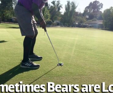 Sometimes Bears Get Loud with Brown Bear Golf.