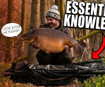 Carp Care Guide - Essential Knowledge for all Anglers
