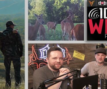 Tactics for Targeting a Specific Buck w/ Jay Gregory - 100% Wild Podcast 39