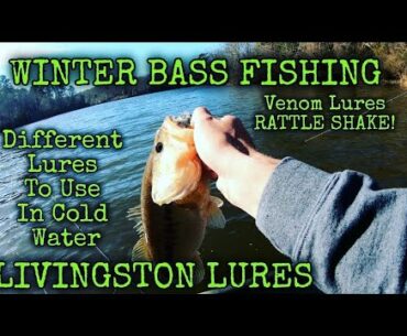 Different Winter Baits And Tactics To Catch Winter Bass #winterbassfishing  #bassfishing