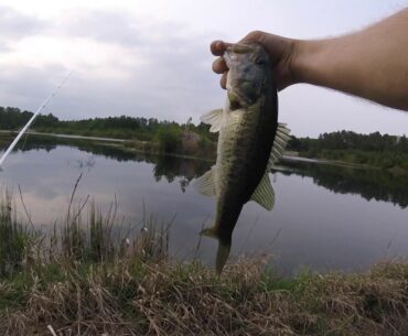 Fishing a Random Pond in the Georgia Woods