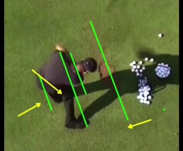 Tiger Woods Swing Analysis Overhead