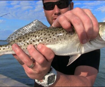 Easy Way to Catch (Spotted Sea Trout) in Florida Spotted Seatrout
