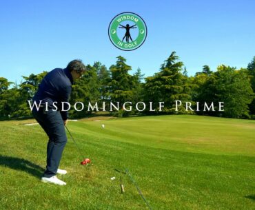 WISDOMINGOLF PRIME SAISON 1 - COURS DE GOLF