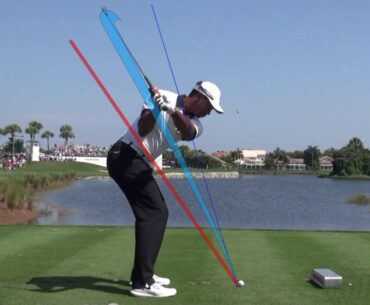 Tiger Woods, check the swing plane with continuous still images(DTL,Iron)