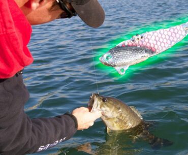 Winter Bass Fishing Tips for Deep Bass- Spoons and Buddy Blades