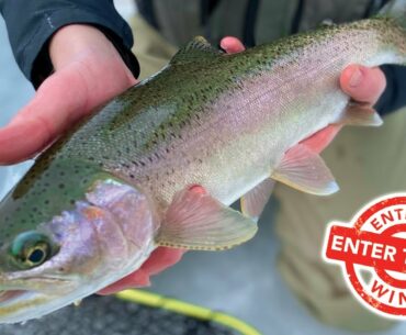 BOW RIVER Winter Fly Fishing + TrickFlies.ca GIVEAWAY [Calgary, AB]