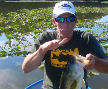 The Bass College - Versatility in Summer Jigs and Plastics