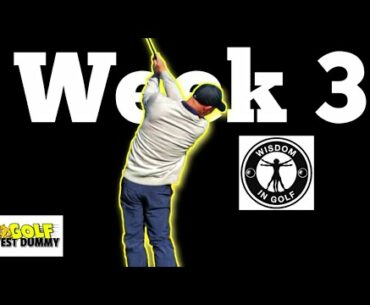 Shawn Clement's Wisdom in Golf Review - Week 3 Online Lesson - Golf Test Dummy