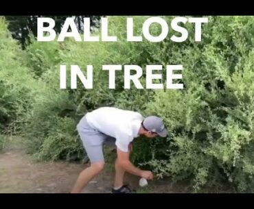 Taking a Lateral Relief Unplayable Ball Drop for my Ball in a Tree - Golf Rules Explained