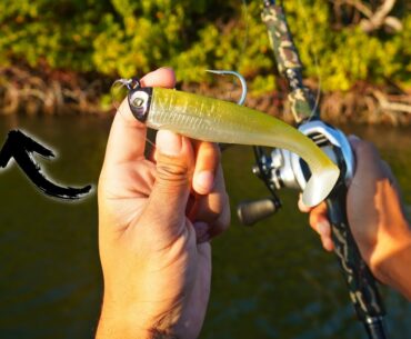 Flipping Mangroves for Goliath Grouper,Red Grouper and Sheepshead