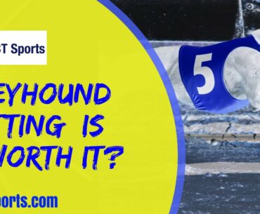 Greyhound Betting: Is It Worth It?