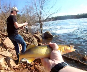 Bank FISHING For SPAWNING WALLEYE!! | UNEXPECTED TOOTHY FISH!!!