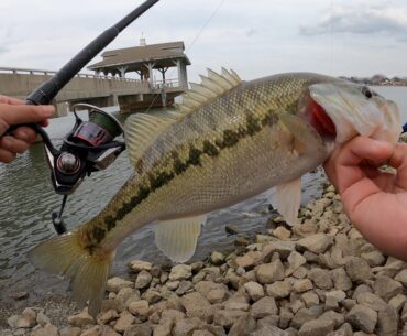 Nonstop Action!! Lake Norman Spotted Bass Fishing