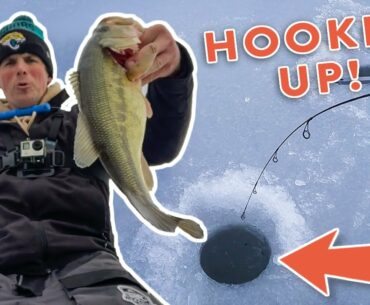 Ice Fishing Tips for Panfish and Bass w/ West O Angling!