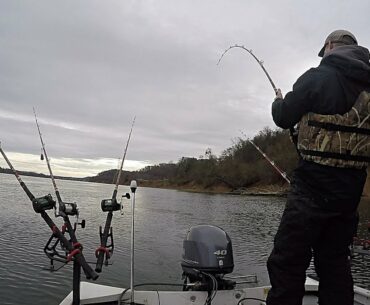 Catching Catfish In The Dead Of Winter - First Outing Of 2021