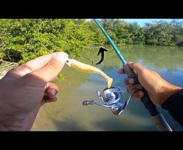 Skipping Under MANGROVES for Redfish