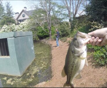 Big Lake Bass Fishing (Lanier) and Pond Fishing