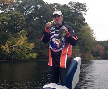 FALL BASS FISHING TIPS REGISTER TODAY IT'S FREE!