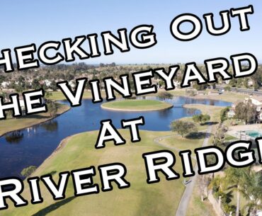 Ready Golf, Ep  20 River Ridge Vineyard Course Vlog Part 1