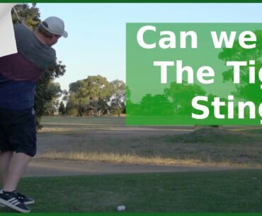 Can we hit the Tiger Woods Stinger Shot?