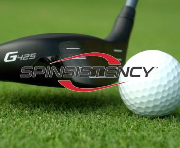 PING Pros Define Spinsistency