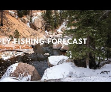 Trouts Fly Fishing Forecast | February 12th Edition