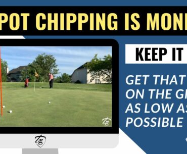 Spot Chipping is MONEY