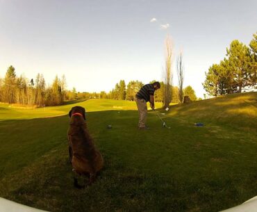 Hodge tees off a beer can on Norwood #6