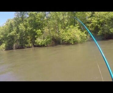 Chris Plaford - Roanoke River spring striper trip