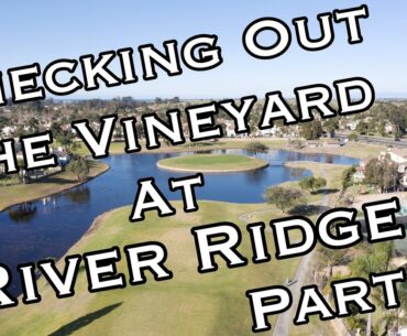 Ready Golf, Ep.  20 River Ridge Vineyard Course Vlog Part 2