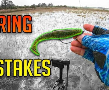 SPRING Bass Fishing MISTAKES you don't even know you're Making